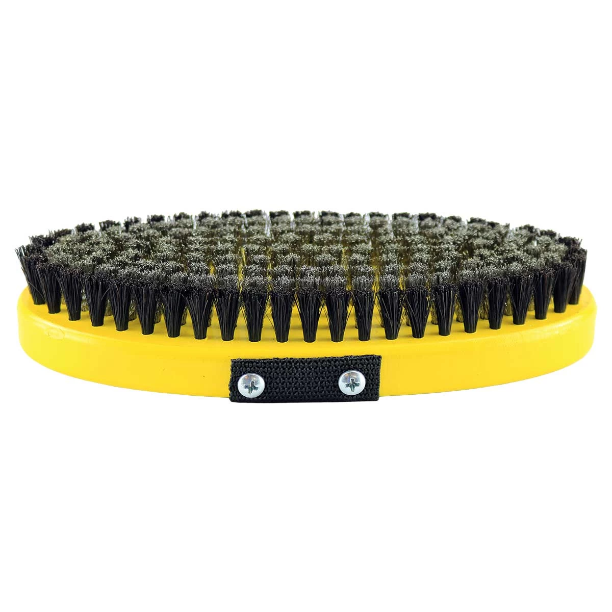 BEAST Oval Brush 8 BEAST Oval Brush - Image 6